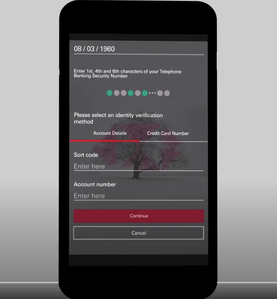 مثال إدخال كلمة المرور HSBC