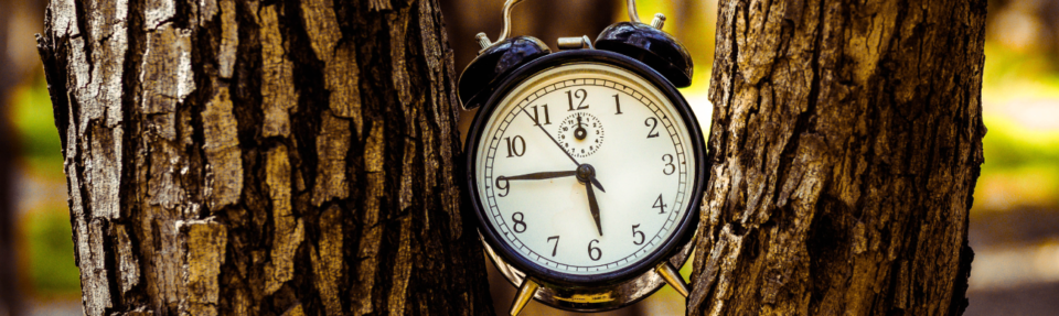 كيفية تقديم أفضل دعم عملاء في الوقت الفعلي في عام 2025