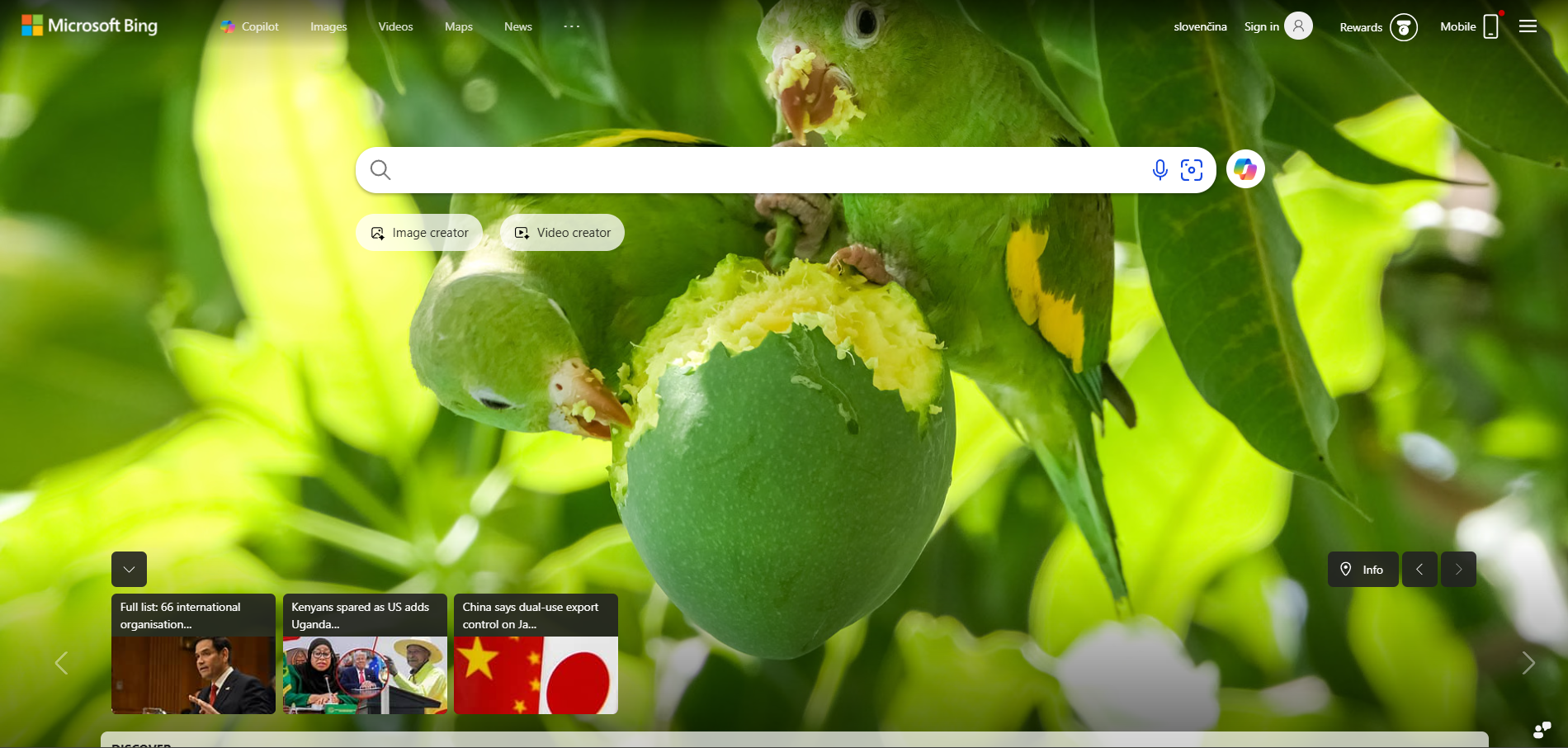 جهات اتصال الدعم الفني لبينج