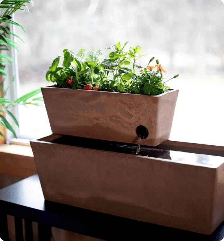 كيف حققت AquaSprouts معدل رضا العملاء بنسبة 96.5% مع LiveAgent