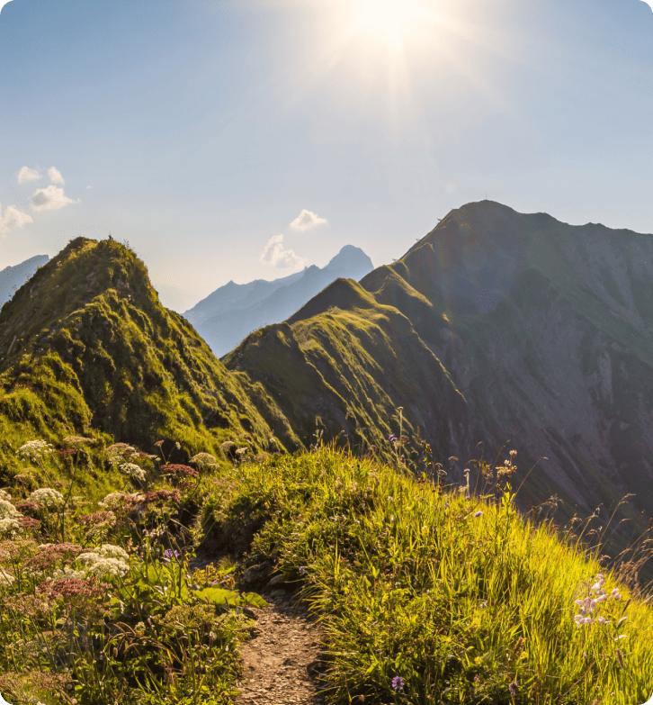 كيف حسّنت ZlavaDna خدمة العملاء باستخدام LiveAgent